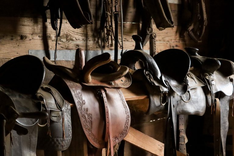 Saddles hung up in the barn