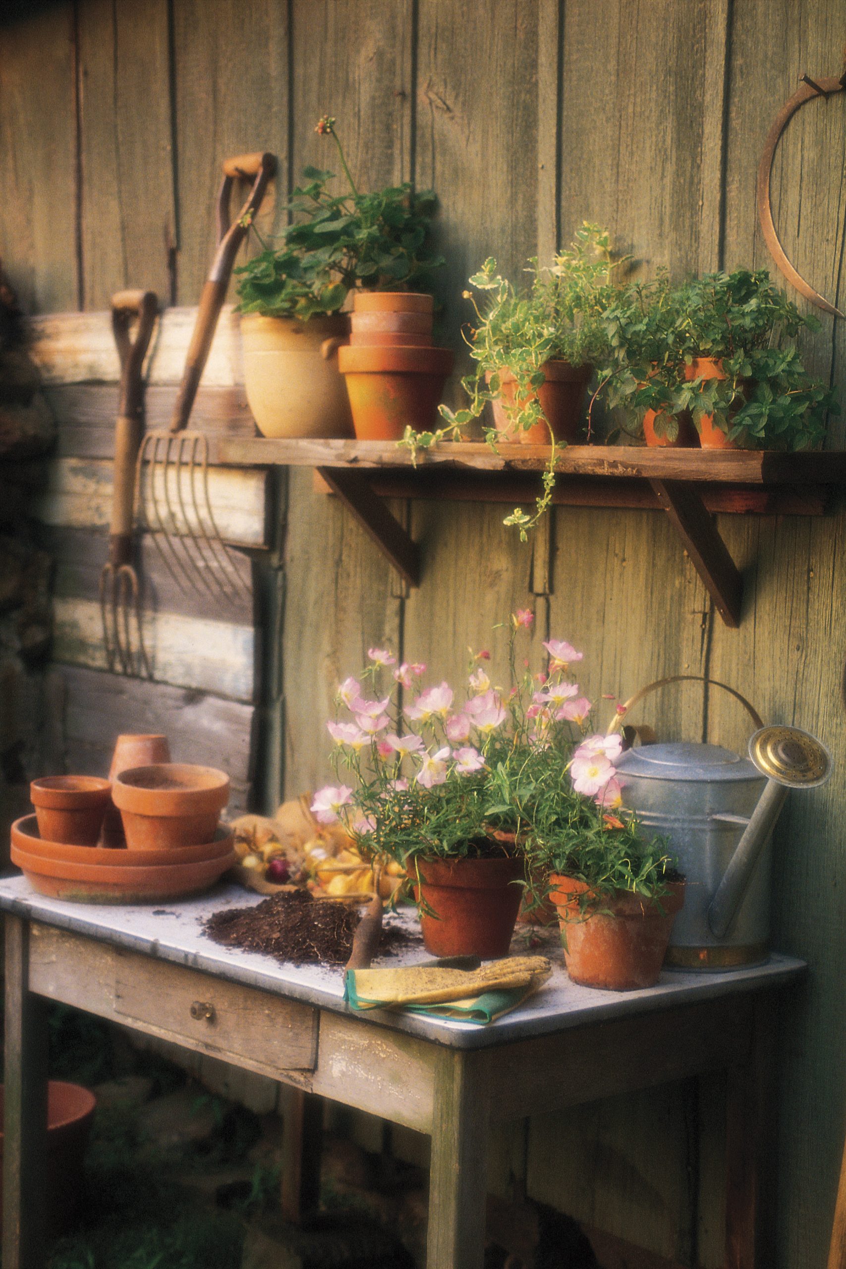 A simple garden potting table covered in filled blooming pots and garden tools.